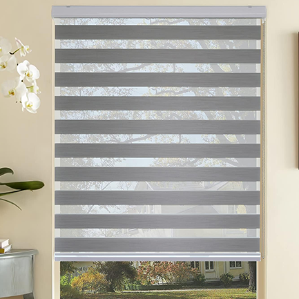 Description of Image